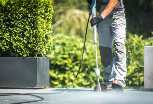 Animal Enclosure Cleaning in Balm, FL