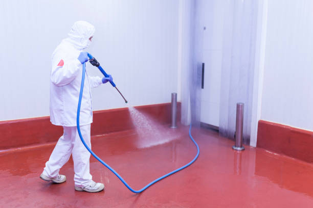 Best Solar Panel Cleaning  in Balm, FL