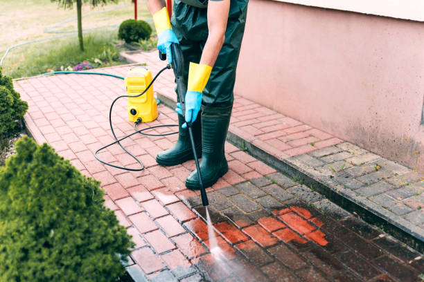 Best Dumpster Area Cleaning  in Balm, FL