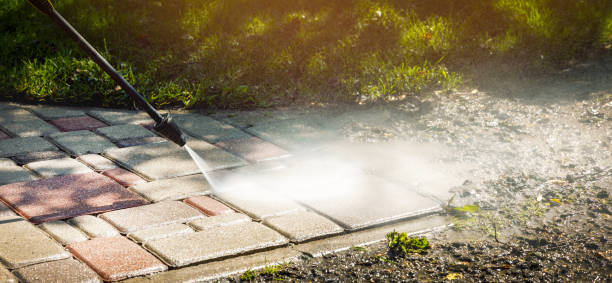 Best Roof Washing  in Balm, FL