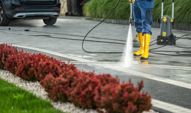 Best Dumpster Area Cleaning  in Balm, FL